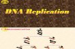 DNA Replication.pdf