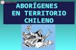 Apunte Pueblos Aborigenes en Territorio Chileno 35314 20160314 20160212 134457