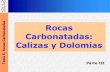Rocas Carbonatas Calizas-Dolomitas