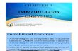 Chapter 3 (Immobilized Enzyme)