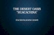 The Desert Oasis Huacachina