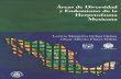 Áreas de diversidad y Endemismo de la Herpetofauna Mexicana.pdf