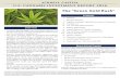 U.S. Cannabis Investment Report 2016