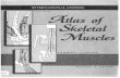 Atlas of skeletal muscles (2000) - STONE.pdf