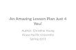 An Amazing Lesson Plan Just 4 You