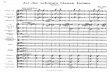 Strauss Johann Jr Blue Danube Op314