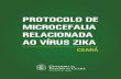 Protocolo Microcefalia Relacionada Ao Vírus Zika - Ceará