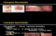 147957653 Sifilis Gonore Candida AIDS Herpes Genitalis Ppt