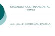 130335057 Diagnosticul Financiar Al Firmei