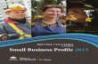 Small Business Profile 2015