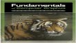 Fundamentals of Computer Graphics (2nd Edition 2005)