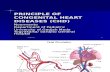 Principle of Congenital Heart Diseases