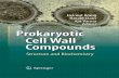 componentes estructurales de la pared celular de los procariotas estructura y bioquimica