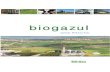 BIOGAZ_BiG-East Handbook Romania.pdf