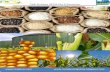 14th January ,2016 Daily Exclusive ORYZA Rice E-Newsletter by Riceplus Magazine