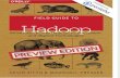 Field Guide to Hadoop (Pentaho)