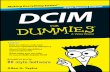 Dcim for Dummies Nlyte
