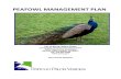 Peafowl Management Plan August 4%2c 2015
