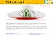 20th April Daily Global Rice E_Newsletter by Riceplus Magazine