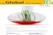 8th April,2015 Global Rice E-Newsletter by Riceplus Magazine