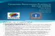 48866596 Corporate Governance Practice in SBI and WIPRO