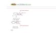 12 Chemiasdsastry Notes Ch11 Alcohols Phenols and Ethers