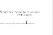 Hoffmister Viola Concerto Allegro