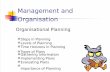 Management and Organisation Planning