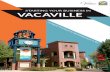 Starting Your Business In Vacaville Handbook