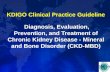 CKD MBD Guideline