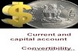 Finalppt Currencyconvertibility 111003105349 Phpapp02(1)