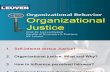Ob Organizational Justice