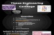 Tissue Eng. Cartilage Final Presentation (1)