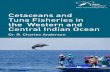Indian Ocean fisheries influence on Tuna and Dolphin
