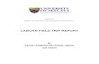 Labuan Field Report: Sedimentology