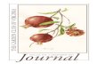 December 2014 Garden Club of Virginia Journal