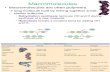 Lecture 5_Proteins and nucleic acids.pdf
