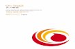 China Aviation Oil Annual Report 2006