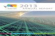 2013 Annual Report Pnw
