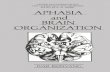 Aphasia and Brain Organization