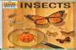 How and Why Wonder Book of Insects