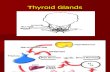 Krisis tiroids