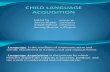 Child Language Acquisiton