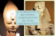 Coregency Amarna Talk