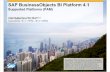 SAP BusinessObjects BI Platform11