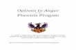 Options to Anger for the Phoenix Program(1)