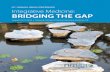 NMSA Program Bridging the Gap