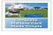 Complete Maltese Care Made Simple - SAMPLE