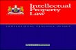 128104007 Intellectual Property Law by Anne Marie Mooney Cotter