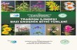 Trabzon İlindeki Endemik Bitki Türleri Kitabı